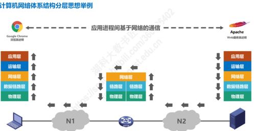 計(jì)算機(jī)網(wǎng)絡(luò)概述 連接數(shù)字世界的基石